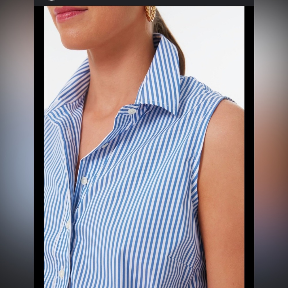 J. Crew Blue and White Striped Blouse